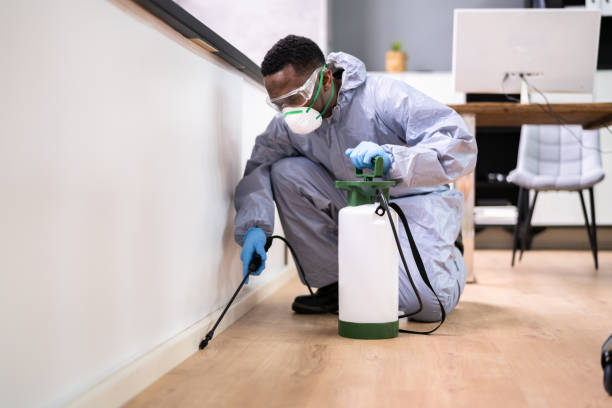 Best Real Estate Pest Inspections  in Westwego, LA